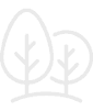 Baum_Icon.png Icon